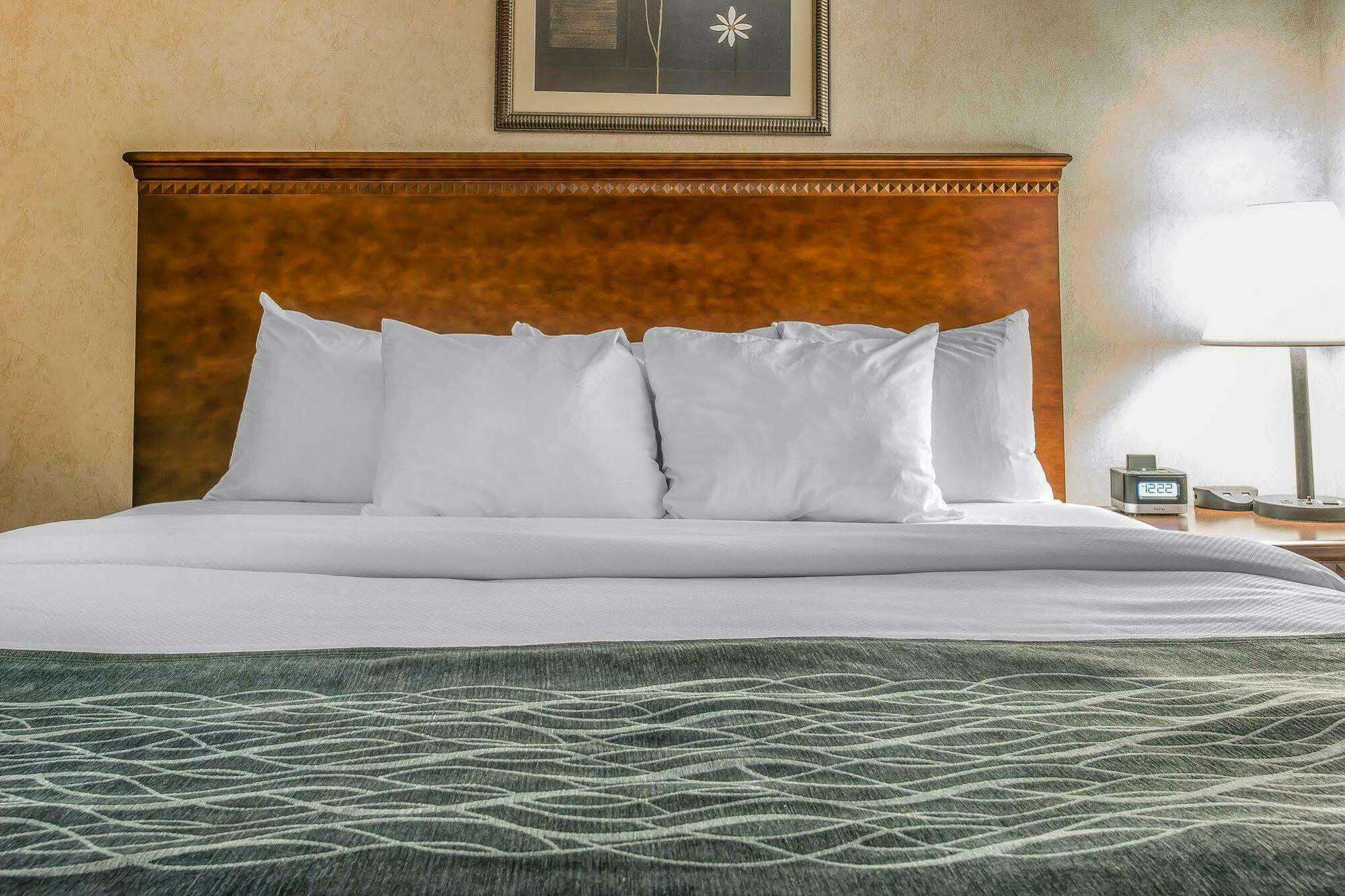 Quality Inn & Suites Coldwater Near I-69 Экстерьер фото